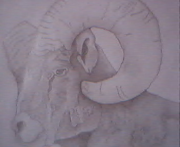 illust1